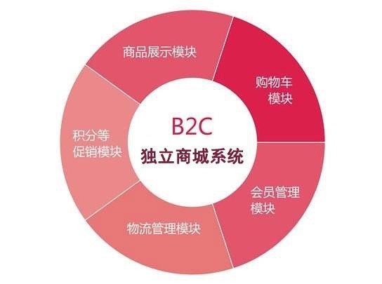 电子商务论文-范文_浅析b2c电子商务企业物流